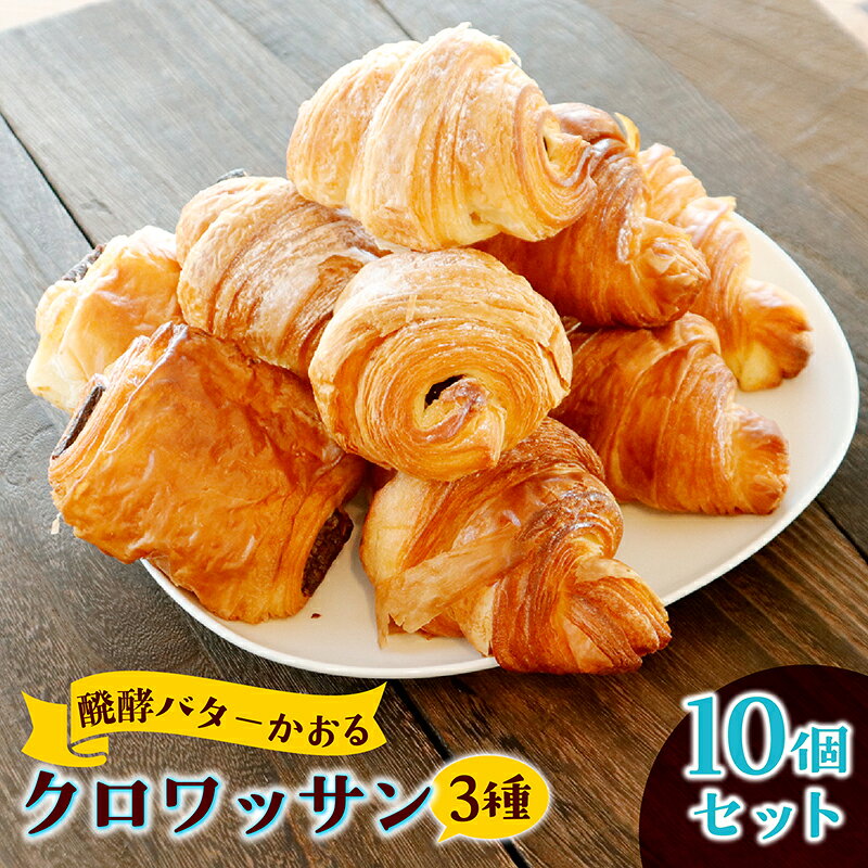 【ふるさと納税】店主こだわり醗酵バターかおるクロワッサン詰め合わせ10個 [AH013] / パン クロワッサン セット 食べ比べ 詰め合わせ 詰合せ 冷凍 冷凍パン 個包装