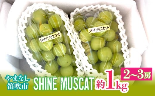 【2026年発送★先行予約】シャインマスカット　約1kg（2-3房入） 214-004-26y