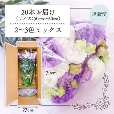 ふるさと納税 庄内町 【R8.9月下旬発送】庄内町フラワーラボ トルコギキョウ 生産者おまかせ 20本 |  | 01