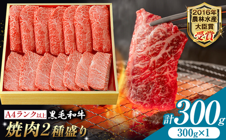 A5 A4 ランク 厳選 黒毛和牛 焼肉 2種盛り 300g 《45日以内に出荷予定(土日祝除く)》熊本県 大津町 和牛焼肉LIEBE ステーキ 冷蔵 リーベ