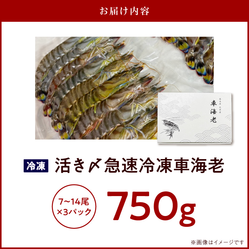 S187-003_生食可 活き〆急速冷凍車海老750g