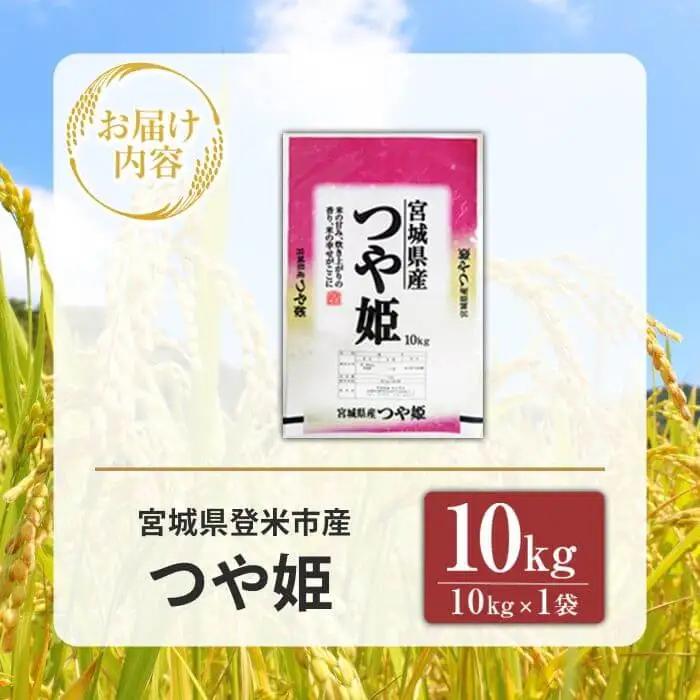 ≪令和7年産≫ つや姫 精米 10kg(10kg×1袋) 登米市産 米 お米 おこめ ごはん ご飯 白米 おにぎり お弁当 10kg 【宮城商事株式会社】tm467