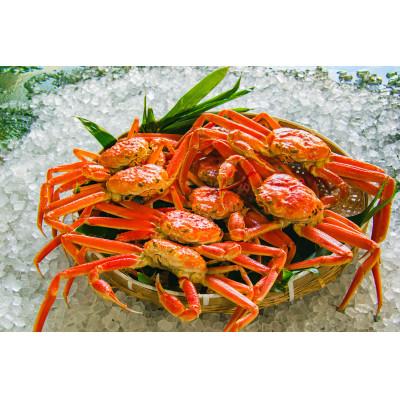 ふるさと納税 北栄町 鳥取県産ボイル松葉ガニおまかせ　3kg |  | 01