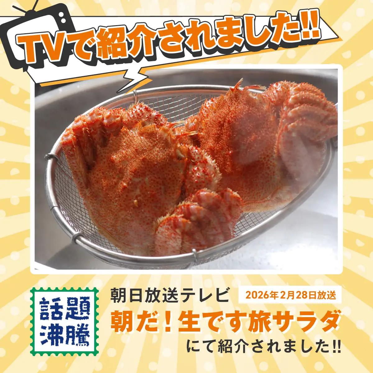 【訳あり】活〆茹で毛蟹1尾 約300g 【ふるさと納税 人気 おすすめ ランキング カニ かに 蟹 毛がに 毛蟹 毛ガニ 活〆 茹で 茹で毛ガニ 活〆毛ガニ 活〆毛がに 訳あり 海鮮 オホーツク 北海