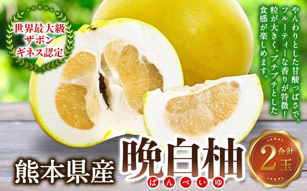 
                  熊本県産晩白柚 2玉入り【2026年12月下旬発送開始】みかん ミカン 柑橘 果物 くだもの フルーツ 
                