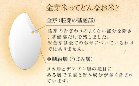 金芽米 ベストセレクト 10kg 5kg×2 【 BG無洗米 無洗米 東洋ライス お米 白米 精米 米 コメ 和歌山県 和歌山市】