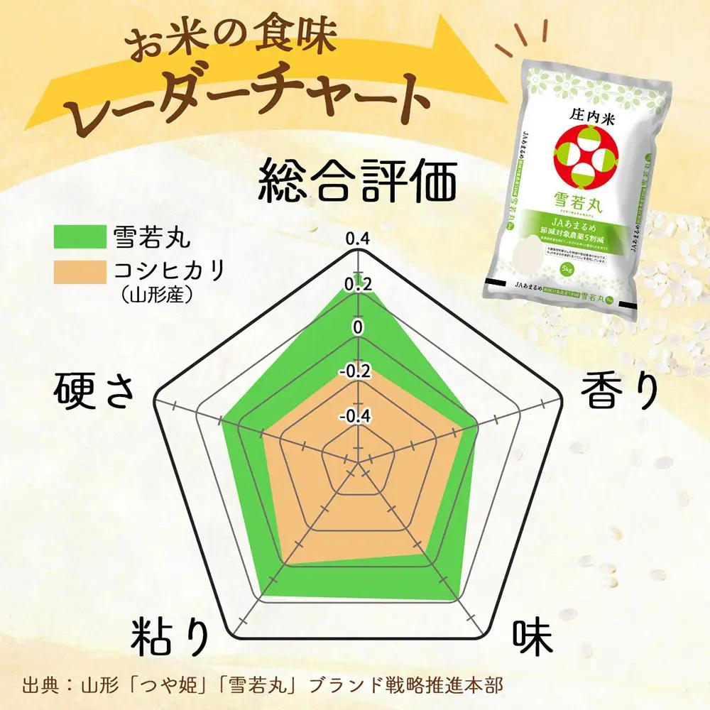 【定期便】＜令和8年産＞雪若丸 10kg×1年間 毎月お届け 山形県庄内町産 余目産 庄内米 ブランド米 米 お米の定期便 粒立ち しっかり食感 食べ応え抜群 粘り 控えめ 硬め ごはん【10月中旬発