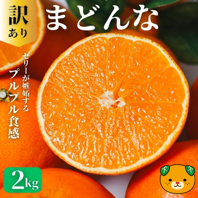 【先行予約：2026年11月20日～発送】訳あり まどんな 2kg 数量限定 愛果28号 紅まどんな 柑橘 かんきつ フルーツ 果物 旬 みかん ミカン 国産 サイズ不揃い 家庭用 おやつ 期間限定 みかん マドンナ 愛媛県 愛南町 愛南町青果市場組合