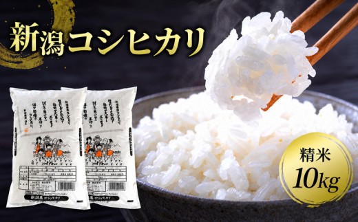 新潟県産コシヒカリ 精米10kg お米 こしひかり 白米 精米 米 コメ 新潟県産
