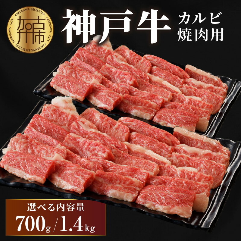 【ふるさと納税】★選べる内容量＆発送月★神戸牛カルビ焼肉700g 1.4kg(700g×2)《 牛肉 牛 和牛 国産 焼肉 おすすめ カルビ 赤身 美味しい バーベキュー 選べる内容量 選べる発送月 》