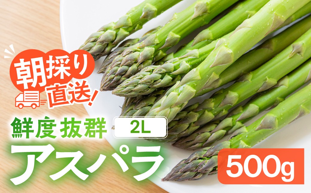
                  【2026年発送・先行受付】2Lサイズ以上 ひだっこアスパラガス 0.5kg | アスパラ 野菜 やさい 産地直送 春 夏野菜 採れたて グリーンアスパラガス 期間限定 人気 おいしい アスパラ あすぱら アスパラガス 産直 あすぱらがす アスパラ アスパラガス 採れたて ひだっこの里 CM003VC01
                