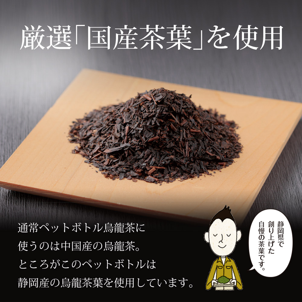 【定期便6か月】静岡県産 黒烏龍茶 500ml × 24本 ペットボトル 黒ウーロン茶 国産 ポリフェノール配合 いなば園 ウーロン茶 牧之原市 お茶