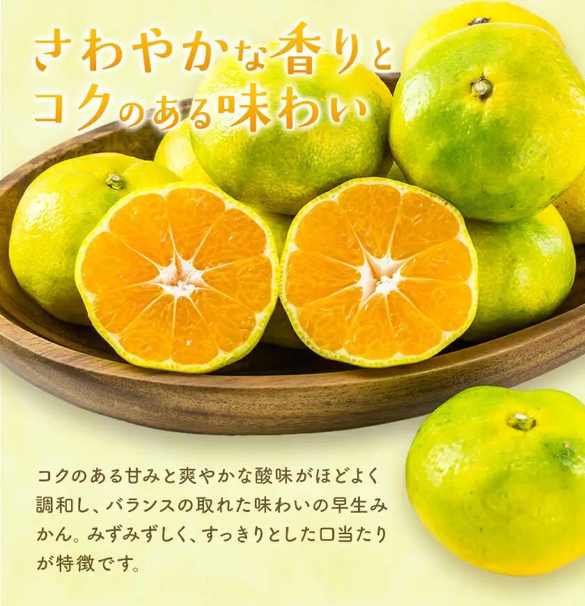 早生みかん 約5kg 農園誉 みかん
