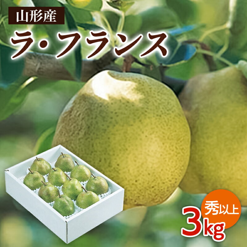 【ふるさと納税】山形市産 ラ・フランス 秀以上 3kg(6〜10玉) fz19-432 ラフランス 洋梨 フルーツ 果物 お取り寄せ 送料無料 洋なし