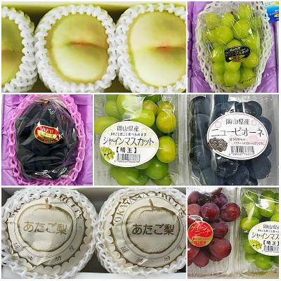 ふるさと納税 津山市 【発送月固定定期便】岡山県産 フルーツ定期便〈お一人様向け〉全6回 |  | 01
