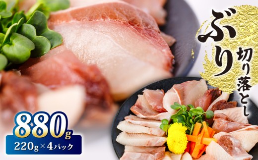 ブリ  切り落とし 880g 220g ×4パック 天然鰤 国産ぶり buri 産地直送 刺身 お刺身 漬け丼 茶漬け 冷凍 小分け 国産 刺身 刺し身 魚 魚介 国産 天然 三重 南伊勢町 伊勢 志摩 一万円 10000円 外湾漁業協同組合