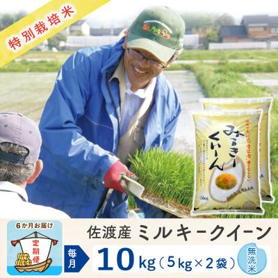 ふるさと納税 佐渡市 【毎月定期便】佐渡島産ミルキークイーン 無洗米10kg(5Kg×2袋) 特別栽培米全6回