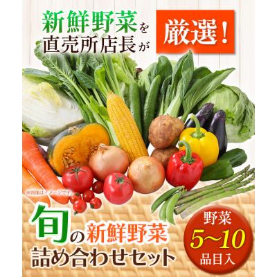 ふるさと納税 矢掛町 旬の新鮮野菜詰め合わせセット 野菜5〜10品目入 青空市きらり《30日以内に出荷予定》