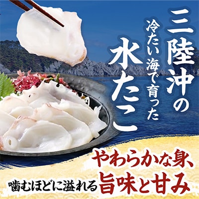 水タコボイル足　3kg　真空【配送不可地域：離島】