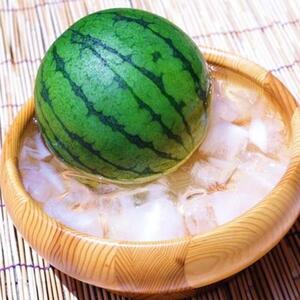 ［先行予約］厳選 小玉すいか Ｍサイズ ／2玉入り［農家直送］［先行予約］［和歌山県産］［MS127］