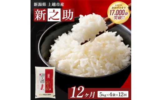 
                  9月開始  新之助 無洗米 新潟県 上越産 20kg (5kg×4) 12か月 定期便 しんのすけ 五つ星お米マイスターのいるお店 お米 精米 米 ご飯 大黒屋商店
                