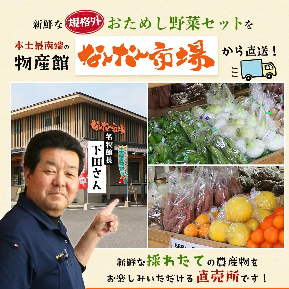【規格外】本土最南端から 旬のお試し 野菜セット 8品目以上 NI-2 ｜ 旬 野菜 やさい 果物 くだもの 産地直送 農産物 冷蔵 鹿児島県 南大隅町産 詰合せ おまかせ 家庭用 訳あり なんたん市