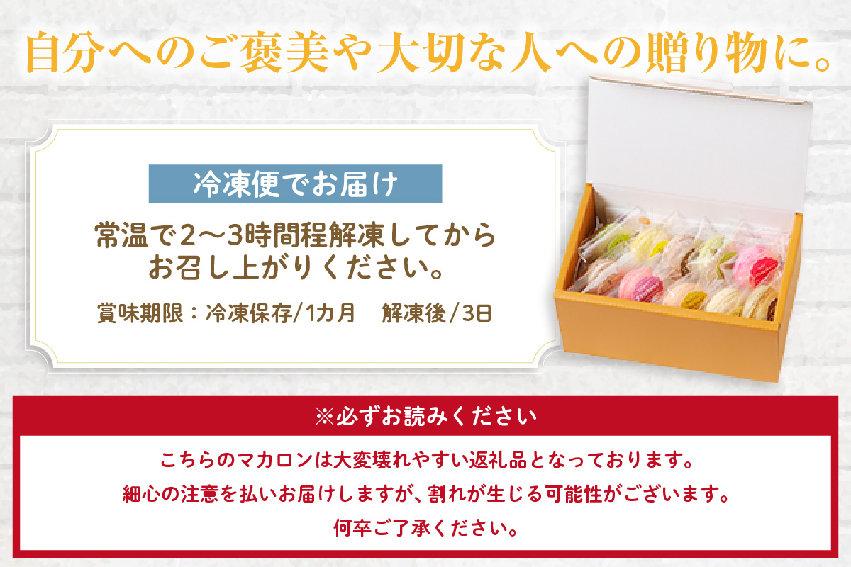 マカロン10個入（10種類）_26-345