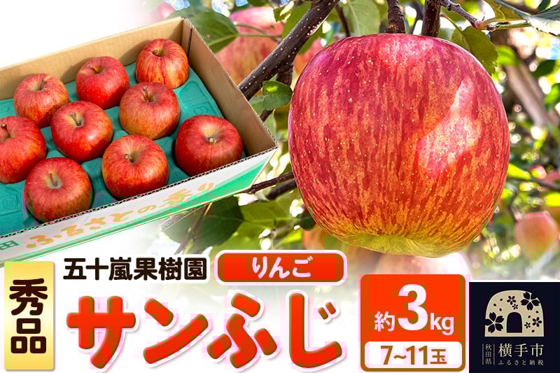 
            【先行受付】12月中旬より発送 サンふじ【秀品】約3kg（7～11玉）りんご 林檎
          