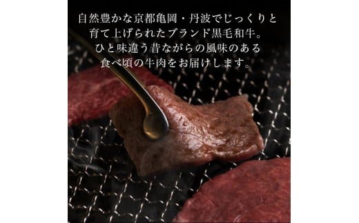 訳あり 京都府産黒毛和牛(A4・A5)人気部位 6回定期便【焼肉・すき焼き・ステーキ2種・しゃぶしゃぶ・ローストビーフ 計2.54kg】京の肉 ひら山 味わいづくし≪定期便 和牛 牛肉 国産 京都 丹