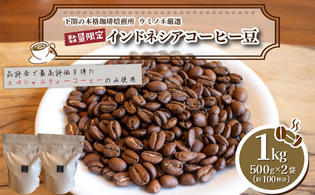 【深煎り】 訳あり コーヒー豆 1kg ( 500g × 2袋 ) インドネシア ( コーヒー 珈琲 コーヒー豆 出荷当日 自家焙煎 数量限定 スペシャルティコーヒー インドネシアコーヒー コーヒータイム こだわりコーヒー ホットコーヒー 焙煎コーヒー 訳ありコーヒー ウミノネコーヒー 自家焙煎コーヒー 飲料 コーヒー コーヒー コーヒー コーヒー コーヒー コーヒー コーヒー コーヒー コーヒー コーヒー コーヒー コーヒー コーヒー コーヒー コーヒー コーヒー コーヒー コーヒー コーヒー コーヒー 