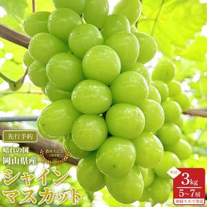 ぶどう 2026年  シャインマスカット 秀品 約3kg 合計5～7房 農林大臣賞受賞  家庭用 ギフト 贈答用 贈り物 岡山 果物 フルーツ  採りたて発送 農家直送 数量限定 新鮮