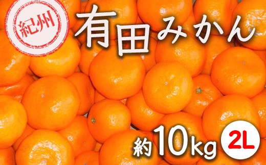
            紀州有田みかん 約10kg サイズ (2L)  ｜みかん ミカン 和歌山 由良 フルーツ 果物 柑橘 和歌山県産 お取り寄せ 人気 ※2025年11月下旬～2026年1月中旬頃に順次発送予定
          