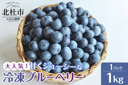 2026年産 大人気！甘くジューシーな冷凍ブルーベリー1kgパック [h186]