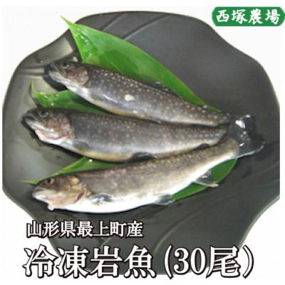 ふるさと納税 最上町 冷凍岩魚(腹抜き)　30尾
