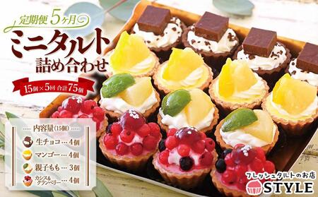 定期便 5ヶ月 フレッシュ タルト 専門店  STYLE 岡山みに たると 詰め合わせ 15個入り ケーキ タルト 詰合せ お菓子 スイーツ [No.5220-1495]