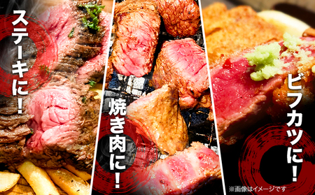 国産牛ランプステーキ 約360g 約180g×2枚 岩塩100g付き