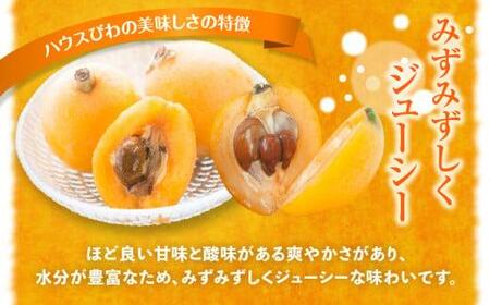 ハウスびわ 約1kg【2026-4月中旬～2026-5月上旬配送】