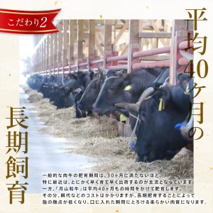 FYN9-860 山形県産黒毛和牛《月山和牛》福寿館 肩ロースしゃぶしゃぶ 500g 牛肉 山形県 西川町