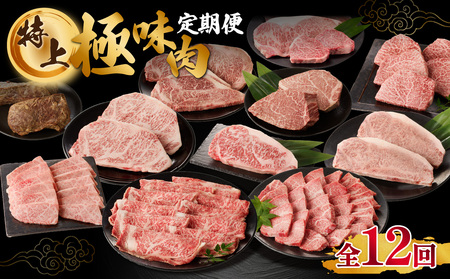 【特上】佐賀牛 極味肉定期便【12回】｜牛肉 定期便 牛肉定期便 牛肉 定期便 牛肉定期便【Z008】