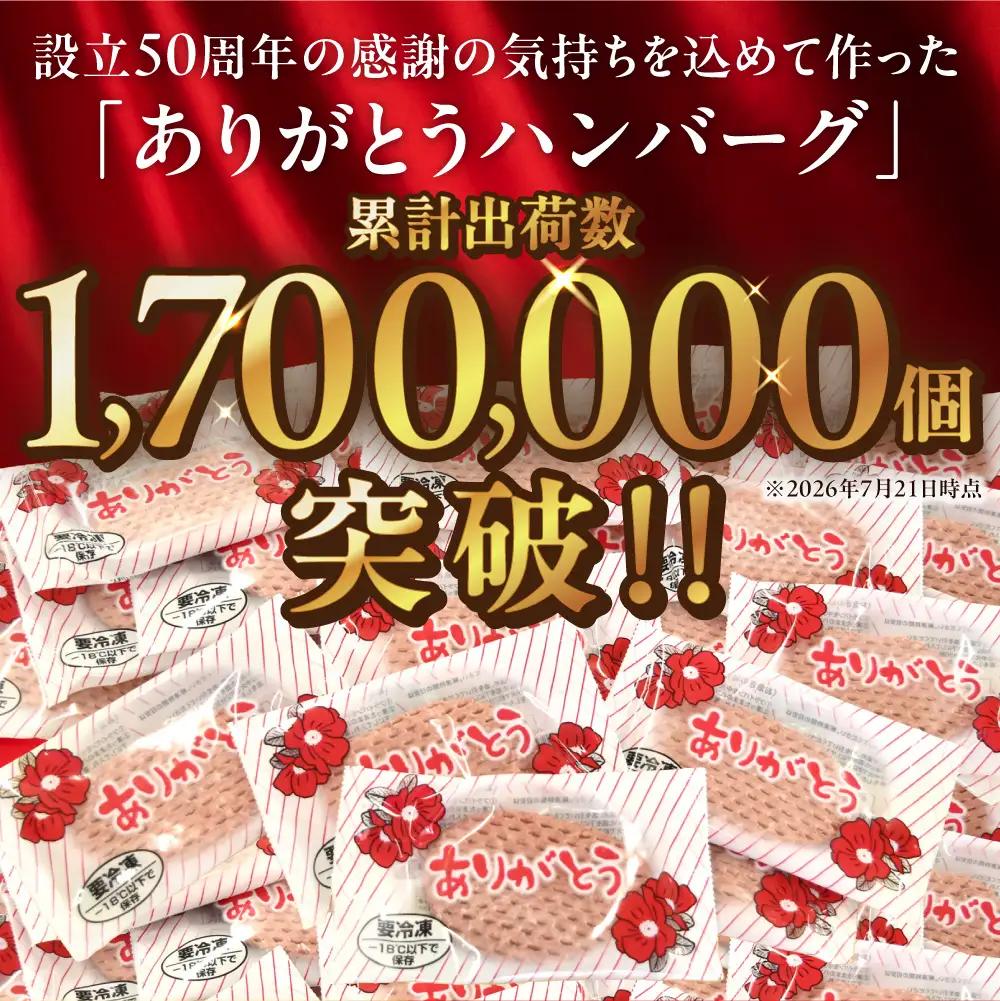 高評価★4.8 牛100% 無添加 ハンバーグ 個包装 24個  ビーフハンバーグ