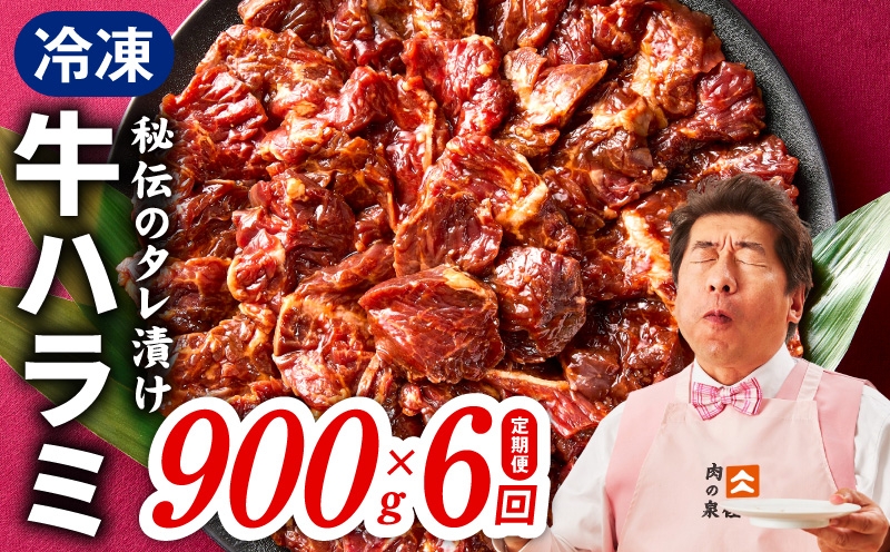 
                  【定期便】牛ハラミ肉 900g×全6回【小分け 300g×3P 秘伝の赤タレ 味付き 焼肉 訳あり サイズ不揃い】
                