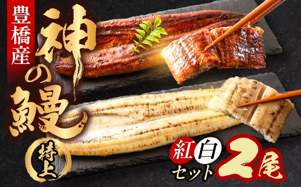 
                  うなぎの新ブランド、開幕。『神の鰻』2尾【紅白セット】 国産 特上 選べる お届け時期 鰻 うなぎ unagi ウナギ 蒲焼 長蒲焼 国産うなぎ 上 特上 贈答 ギフト お歳暮 プレゼント お祝い 誕生日 土用の丑の日 愛知県 豊橋市
                