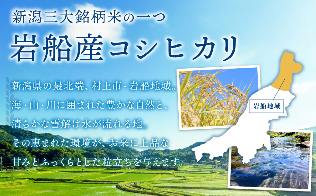 【令和7年産米】新潟県村上市岩船産コシヒカリ10kg（5kg×2袋）　1102002