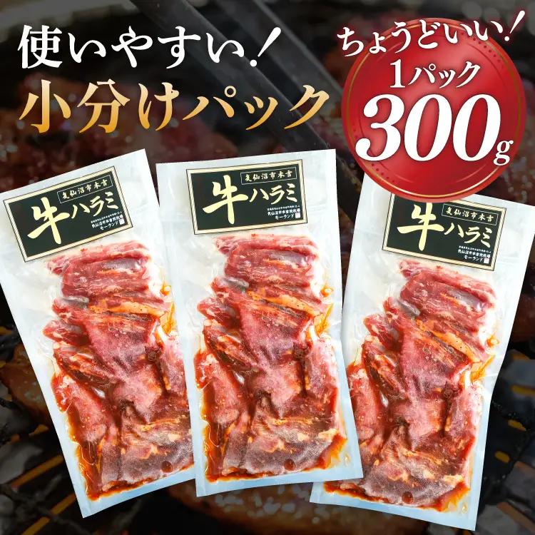 特製タレ漬 牛ハラミ 計900g (300g×3p) ハラミ 