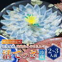 【ふるさと納税】【 発送時期が選べる 冷蔵 】淡路島3年とらふぐ活てっさ（2～3人前）◆配送10月1日～4月15日ふぐ てっさ とらふぐ ふぐ刺し ふぐ刺身 ふぐしゃぶ 活魚 鮮魚 海産物 海鮮 魚 淡路島 淡路 産地直送 お取り寄せ グルメ ギフト