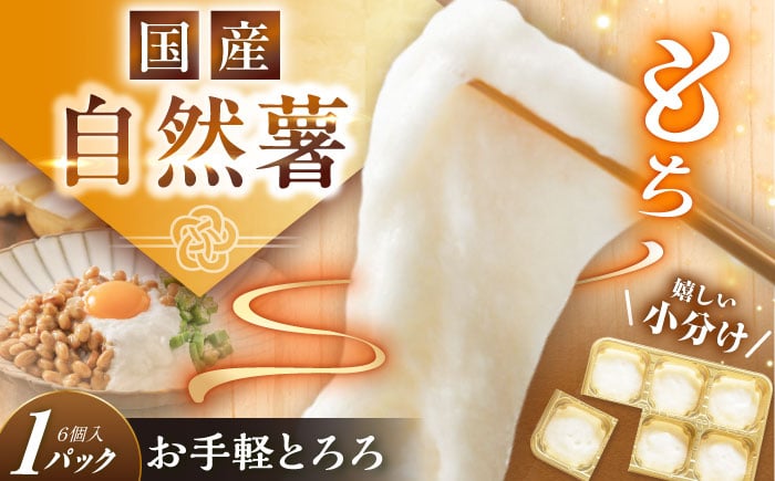 
            自然薯冷凍とろろ（1パック）180g / 自然薯 とろろ 山芋 やまいも 冷凍 小分け / 恵那市 / 水戸屋 [AUFZ001]
          