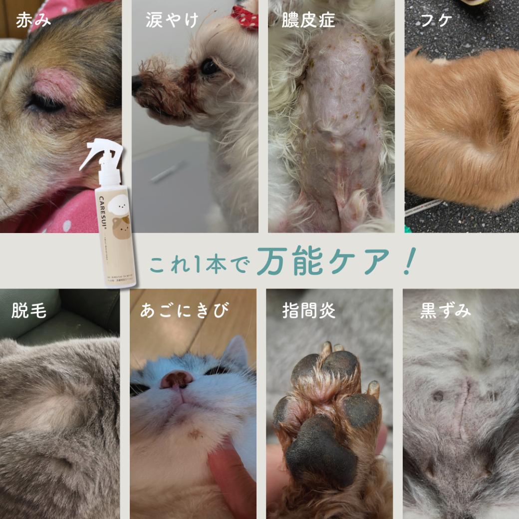 犬 猫 CARESUI ケアスイ ローション 150mL 1本 無香料 咲楽 ブラッシング 舐めても安心 温泉水 保湿 静電気 毛玉