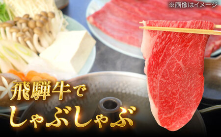 飛騨牛 しゃぶしゃぶ用 もも・かた 1kg 瑞浪市 / 肉のひぐち 牛肉 和牛 国産 ブランド牛[AZDE010]