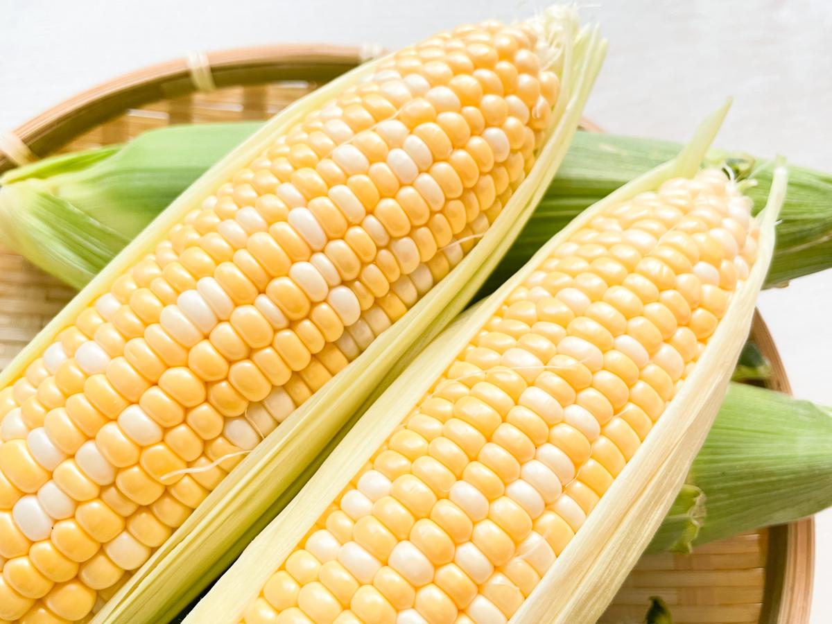 2026年夏の早期予約受付開始！ナツビ農園『どきどきコーン』10本セット（約4.5kg相当）生でも食べられる信濃町名産とうもろこし／白と黄色のバイカラー品種 令和8年7月下旬～8月下旬に随時出荷【長野県信濃町ふるさと納税】