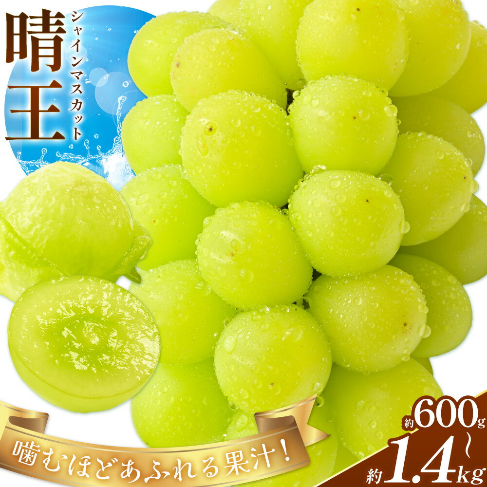 【ふるさと納税】【2026年先行予約】ぶどう シャインマスカット 晴王 選べる 約600g 約700g 約1.2kg 約1.4kg 満天フルーツ《2026年9月上旬-10月末頃出荷(土日祝除く)》岡山県 浅口市 送料無料 マスカット フルーツ 果物 贈り物 ギフト 国産 岡山県産【配送不可地域あり】